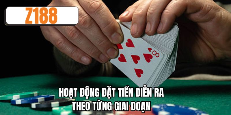 Hoạt động đặt tiền diễn ra theo từng giai đoạn