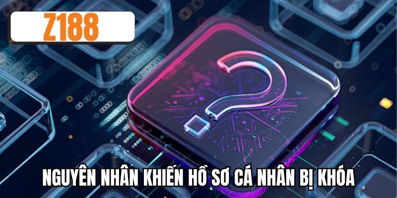 Nguyên nhân khiến hồ sơ cá nhân bị khóa