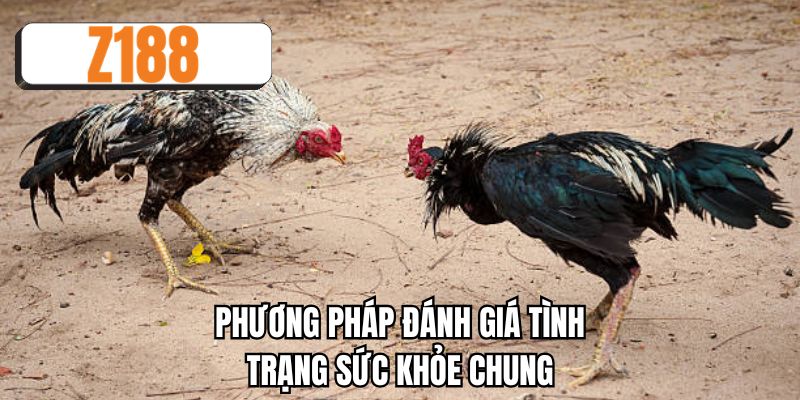 Phương pháp đánh giá tình trạng sức khỏe chung