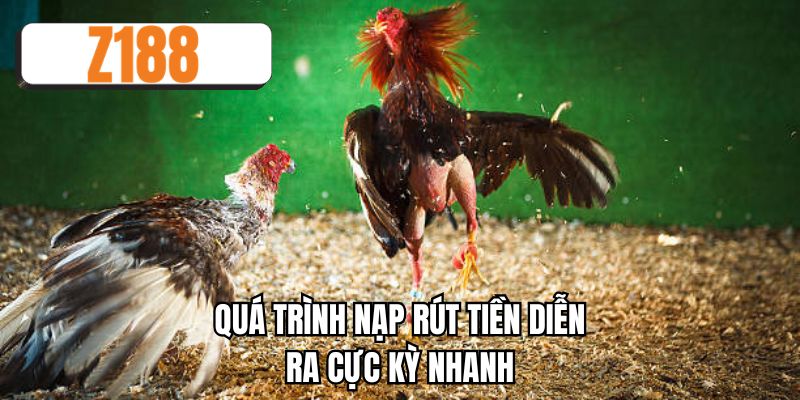Quá trình nạp rút tiền diễn ra cực kỳ nhanh