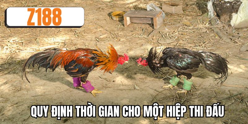 Quy định thời gian cho một hiệp thi đấu